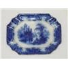 Image 1 : 10 FLOW BLUE PLATTER-COBURG PATTERN BY