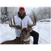 Image 3 : Saskatchewan Moose Hunt