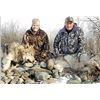 Image 1 : Alberta Wolf / Coyote Hunt