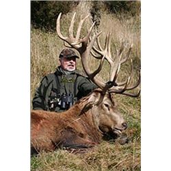 New Zealand Red Stag & Feral Goat Hunt