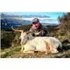Image 5 : New Zealand Red Stag & Feral Goat Hunt