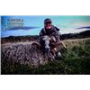 Image 7 : New Zealand Red Stag & Feral Goat Hunt