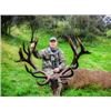 Image 9 : New Zealand Red Stag & Feral Goat Hunt