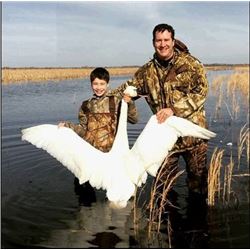 North Carolina Tundra Swan Hunt
