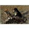Image 1 : Saskatchewan Duck & Goose Hunt