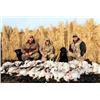 Image 3 : Saskatchewan Duck & Goose Hunt
