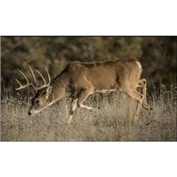 Nebraska Early Whitetail Archery Hunt