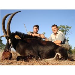 South Africa Sable/Plains Game Safari