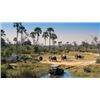 Image 9 : Botswana 9 Day Hunting / 3 day Photo Safari