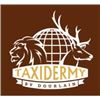 Image 1 : $500 Taxidermy Gift Certificate