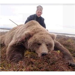 Alaska Brown Bear Hunt