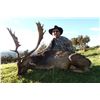 Image 5 : New Zealand Fallow Deer & Feral Goat Hunt