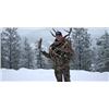 Image 11 : British Columbia Elk / Wolf Combo Hunt