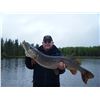 Image 8 : Saskatchewan Fishing Trip