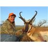 Image 10 : Wyoming Archery Antelope Hunt
