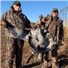 Image 1 : Texas Bird Hunt