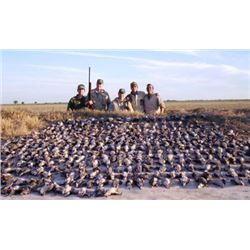 Argentina Safari Hunt for 2 People