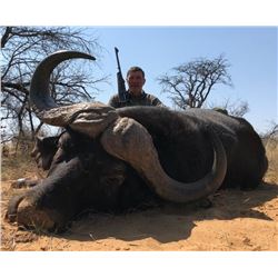 South Africa Buffalo/Plains Game Hunt