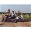 Image 4 : Florida Alligator Hunt