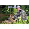 Image 1 : Scotland Roe Deer Hunt
