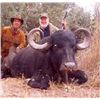 Image 3 : Argentina Big Game Hunt
