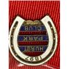 Image 2 : 1897 Hurst Park England Cricket Club Pin