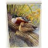 Image 2 : Limited Edition Numbered Print By Ed Newbold. Nicely Framed