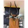 Image 1 : Vintage Wooden Antelope Skull with Real Horns. 28" h x 13" w x 10" Thick Very Nicely Made