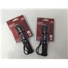 Image 1 : Ace LED Flashlight Set of 2