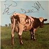 Image 1 : Signed Pink Floyd Atom Heart Mother Album Cover