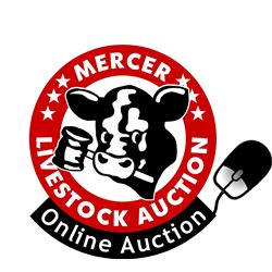 A Mercer Livestock Online Auction