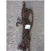 Image 1 : HEAVY CHAIN AND HOOKS