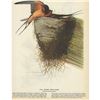 Image 1 : 1946 Audubon Print, # 173 Barn Swallow