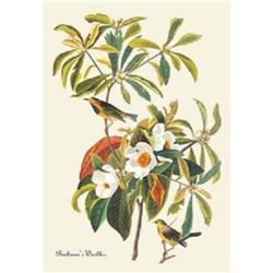 c.1946 Audubon Print, #185 Backman's Warbler