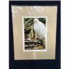Image 1 : Lowcountry Marsh Bird Original Photograph