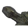 Image 4 : Signed Numbered Bronze Turte Tortoise Sculpture