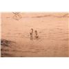 Image 16 : Three landscape lithographs.