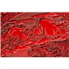 Image 6 : A Chinese cinnabar box.
