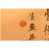 Image 9 : Two Chinese scrolls.