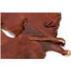 Image 4 : Saddle and leggings.