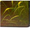 Image 4 : A Russian Lacquer box.