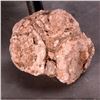 Image 7 : Eight mineral specimens.