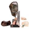 Image 9 : Eight mineral specimens.