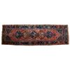 Image 1 : Persian runner.