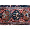 Image 2 : Persian runner.