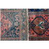 Image 4 : Persian runner.
