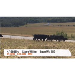 Steve White - Turner Valley, AB   +/- Heifers