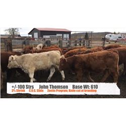 John Thomson - Black Diamond, AB  +/- Steers