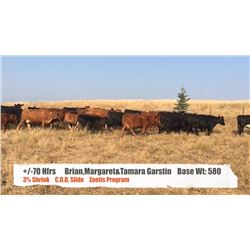 Brian, Margaret & Tamara Garstin-Longview, AB  +/- Heifers