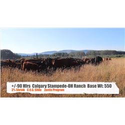 Calgary Stampede OH Ranch-Longview AB.  +/- Heifers